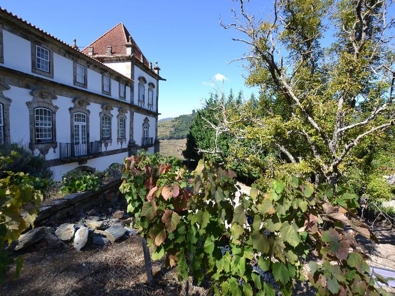 Casa Das Torres De Oliveira Mesao Frio Exterior photo