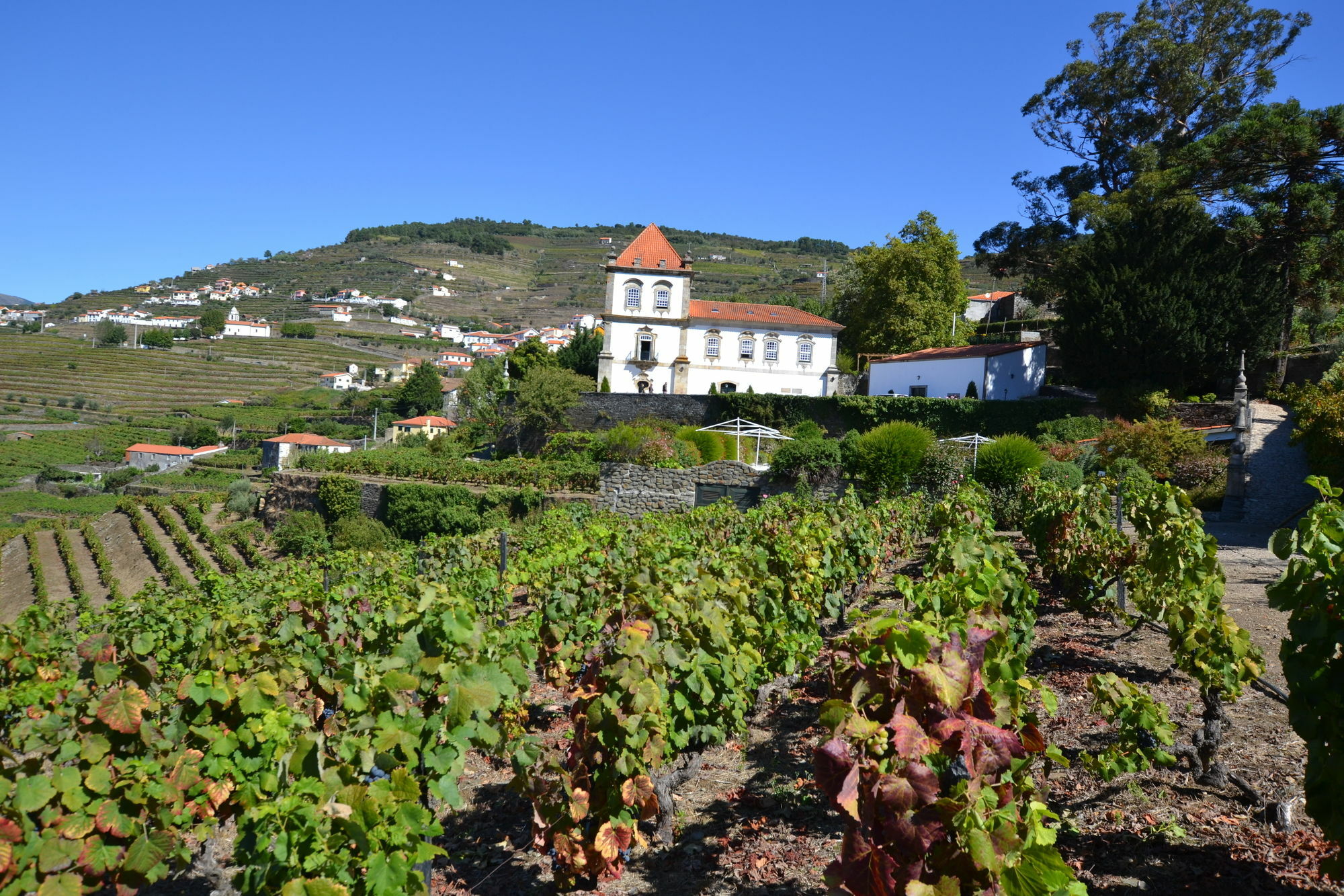 Casa Das Torres De Oliveira Mesao Frio Exterior photo