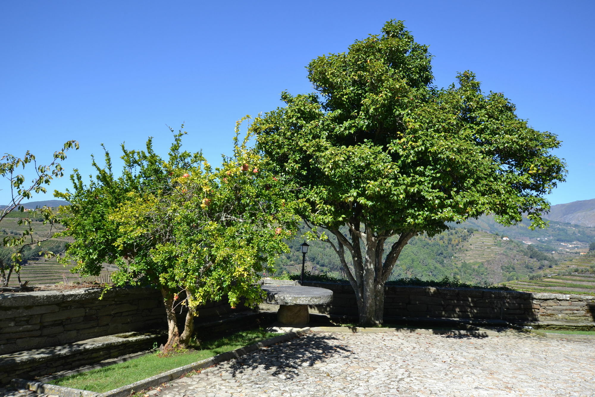 Casa Das Torres De Oliveira Mesao Frio Exterior photo