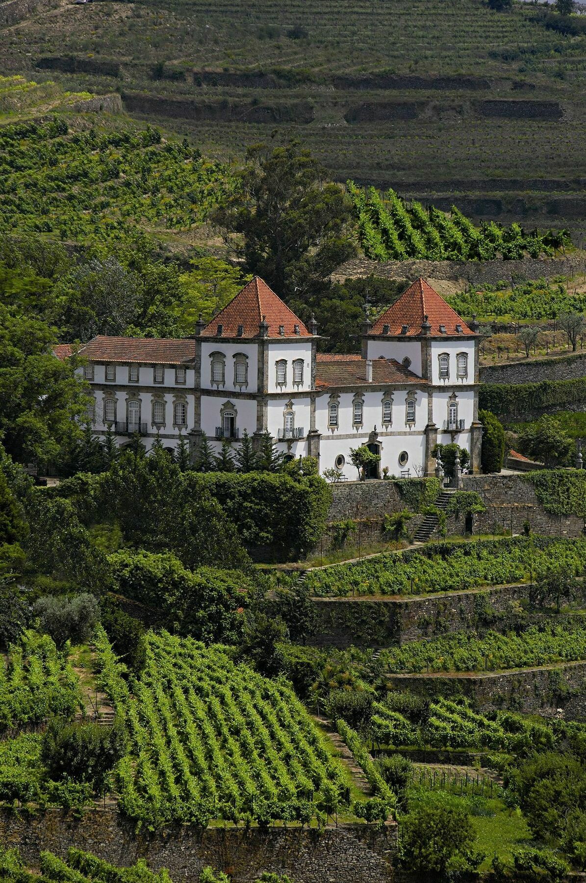 Casa Das Torres De Oliveira Mesao Frio Exterior photo